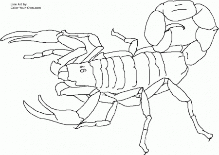 BROKEN Colouring Pages 166788 Mosquito Coloring Page