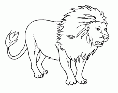 Wild Animals Lion Coloring Pages Free Printable Download 