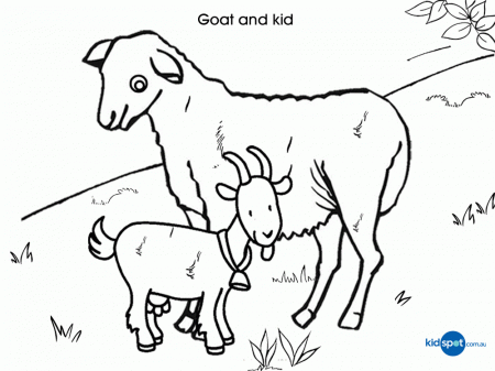Goat - Colouring Pages - Kid