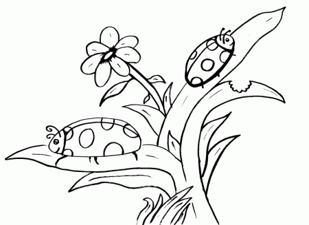 Ladybug Coloring Pages
