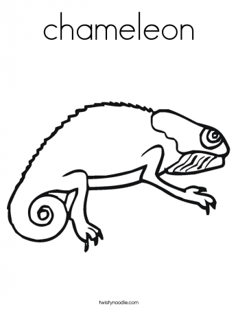 Chameleon Coloring Page | Coloring Pages