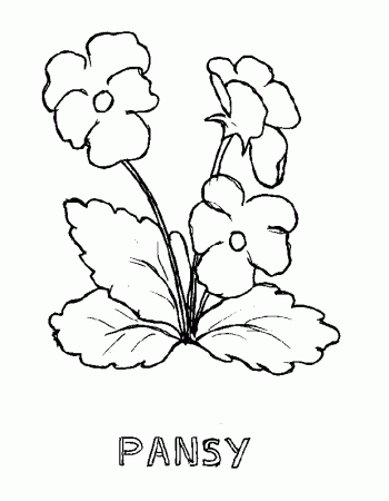 35 Spring Flowers Coloring Pages | Free Coloring Page Site