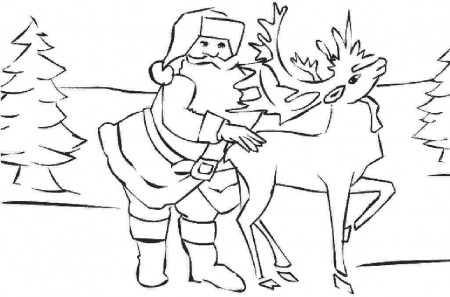 Animal Coloring Whitetail Deer Coloring Pages » Whitetail Deer 
