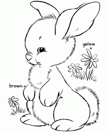 Coloring Pages Of Easter Bunnies - Free Printable Coloring Pages 