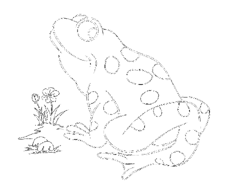 Beautiful Coloring Pages of Frogs Free for All frog coloring pages 
