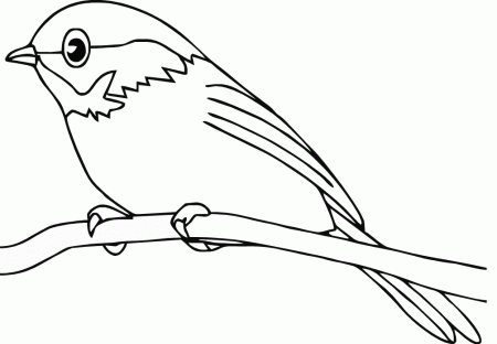 Bird Coloring Pages For Kids | Printable Coloring Pages