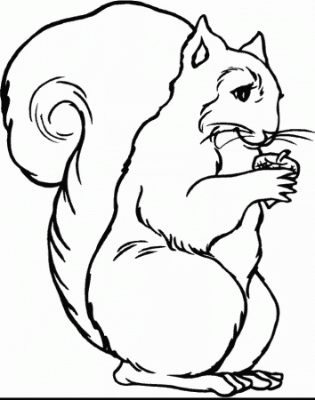 Squirrel Coloring Pages red squirrel coloring pages – Kids 