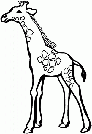 Giraffe - Free Printable Coloring Pages | Kids Color/Crafts...etc | P…