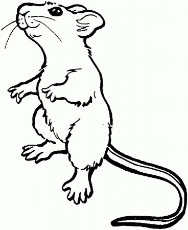 Free Coloring mouse
