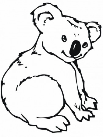 Koala Coloring Pages For Kids | Coloring Pages