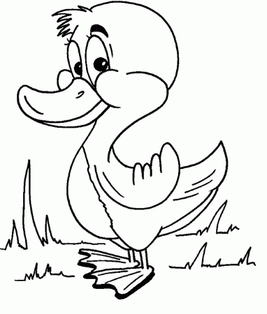 cute ducks Colouring Pages