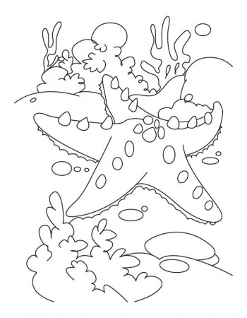 Starfish sleeping coloring pages, Kids Coloring pages, Free 