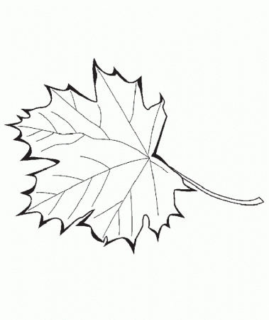 Trees and leaves Coloring Pages 6 | Free Printable Coloring Pages 