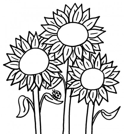 Sunflower Coloring Pages For Kids | Printable Coloring Pages