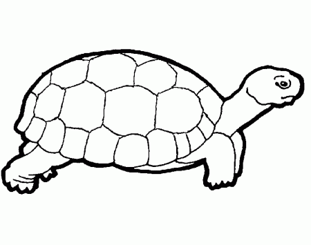 Coloring picture of a turtle