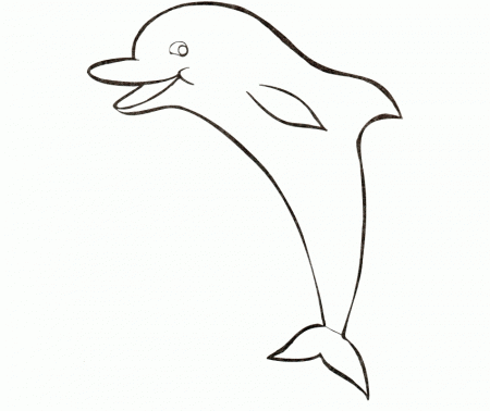 Funny Dolphin Coloring Page Concept | ViolasGallery.com