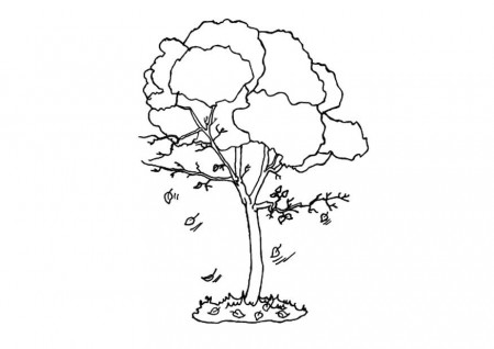 Coloring page tree in fall - img 9607.