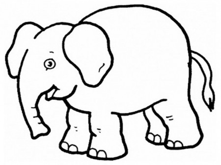Coloring Pages Elephant Printable Coloring Pages Coloring Pages 