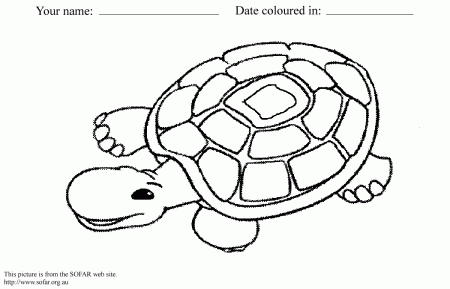 Colouring and Craft | Society of Frogs and Reptiles