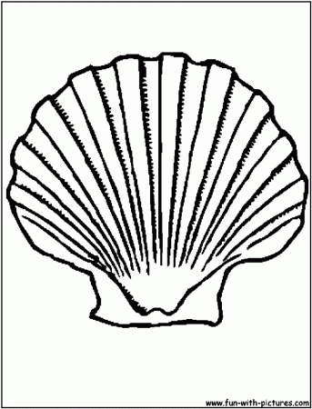 Shells Coloring Pages | 99coloring.com