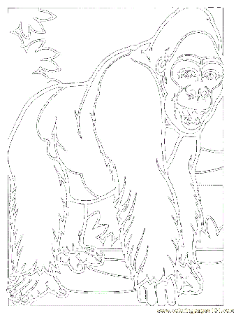 Funny Spider Monkey Coloring Pages - Category
