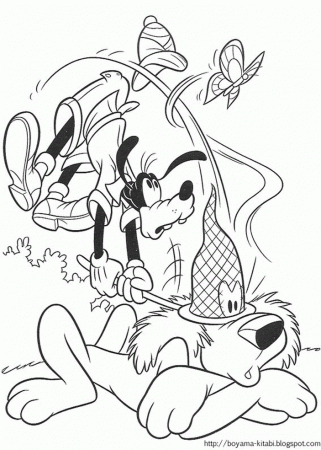 Dingo Coloring Page