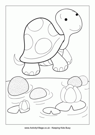 Tortoise Coloring Page Id 90302 Uncategorized Yoand 226484 