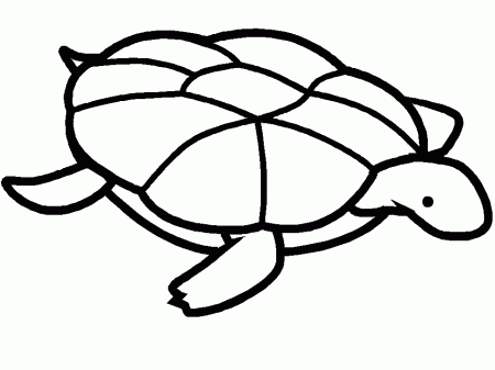 Turtles K6 Animals Coloring Pages & Coloring Book