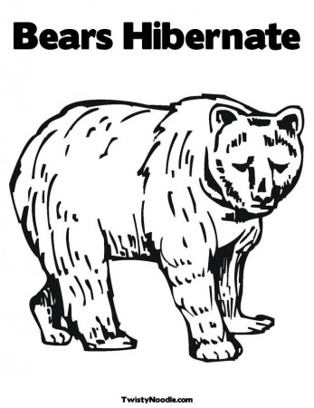 animals that hibernate Colouring Pages