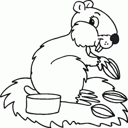 Forest animal printable coloring pages for boys and girls 