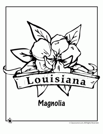 Louisiana State Flower Coloring Page | SS ~ Louisiana