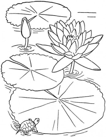 Free Colouring Sheets Lotus Flowers For Kids #