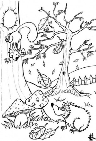 Rainforest Coloring Pages for Kids Collection | Printable Coloring 