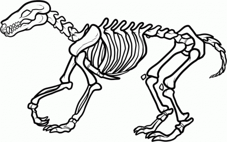Dinosaur Skeleton Coloring Page | Clipart Panda - Free Clipart Images
