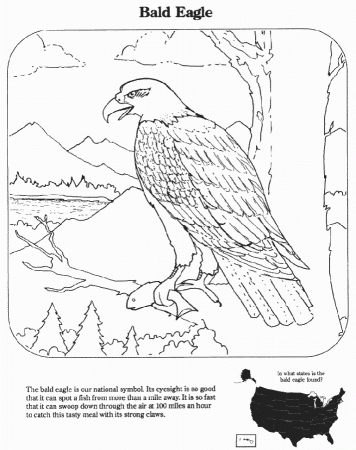 eagle nest Colouring Pages
