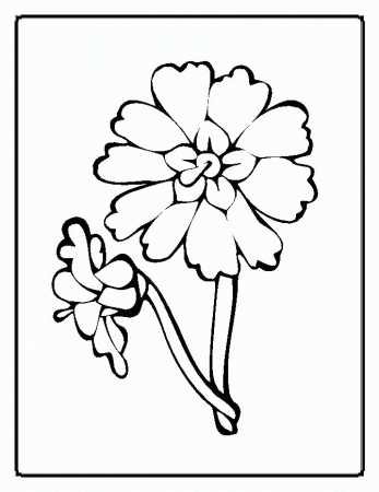 Flower Coloring Pages (