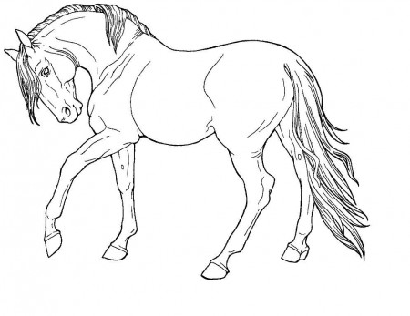 Free Printable Coloring Pages Horses | ThoughtfulCardSender.