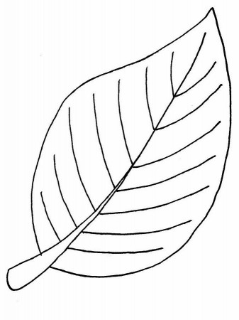 Fall Leaves Coloring Pages | Clipart Panda - Free Clipart Images