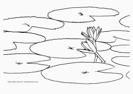 Lily Pad Coloring Page | Coloring Pages