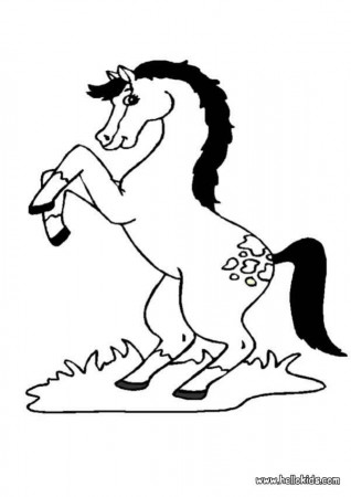 HORSE coloring pages - Rearing horse