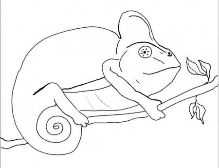 Chameleon Coloring Pages Free - Kids Colouring Pages