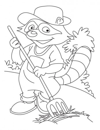 Raccoon a farmer coloring pages | Download Free Raccoon a farmer 