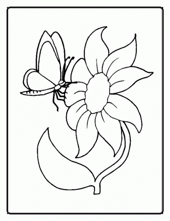 Coloring Pages Of Flowers 339 | Free Printable Coloring Pages