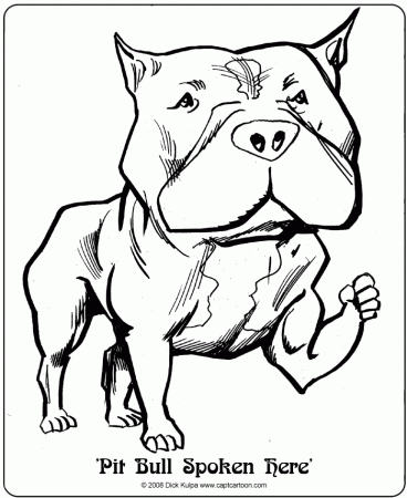 Desenhos de Pitbull para Colorir