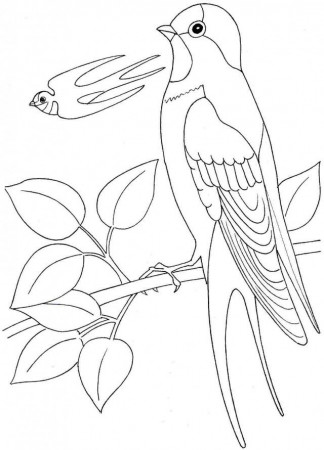 Sock Monkey Coloring Pages Id 53850 Uncategorized Yoand 179801 