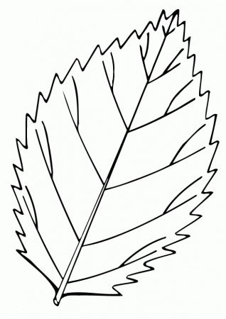 Leaf Coloring Pages - Free Printable Coloring Pages | Free 