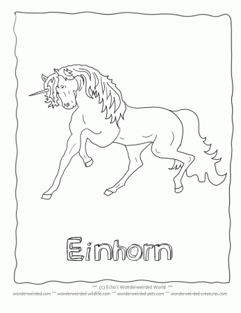 Realistic Unicorn Coloring Pictures Book, Echo's Unicorn Coloring 