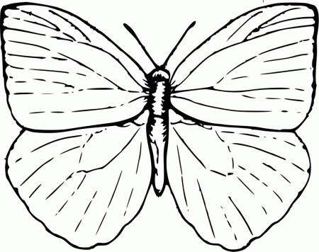 Butterfly Coloring Pages for Kids 2 | Coloring Lab