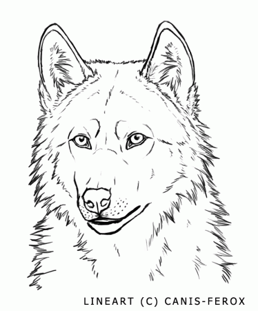 Wolf Face-- free lineart by Canis-ferox on deviantART