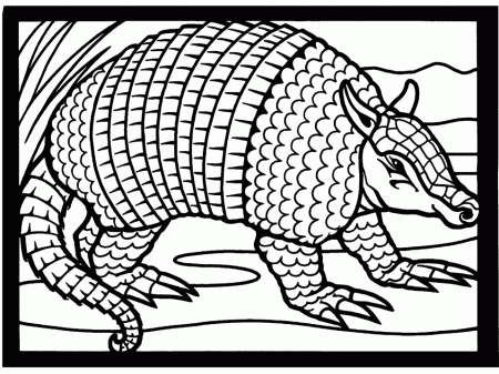 Armadillo2 Animals Coloring Pages & Coloring Book